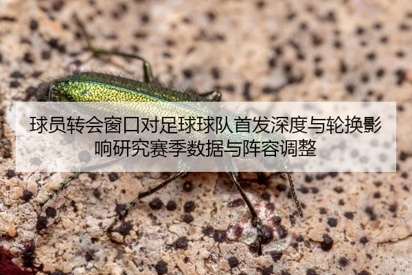 球员转会窗口对足球球队首发深度与轮换影响研究赛季数据与阵容调整